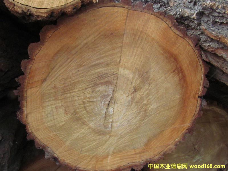 截面的详细介绍