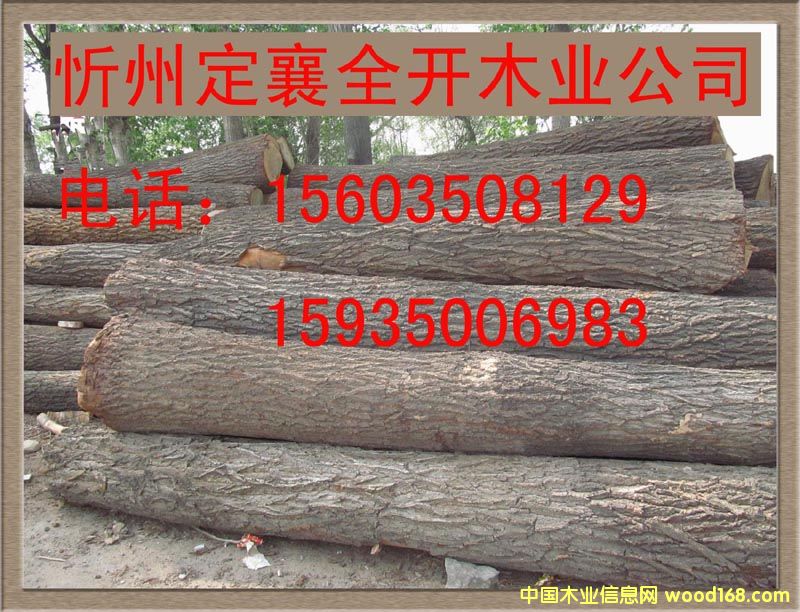 ��ľԭ�ĵ���ϸ����