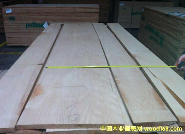 榉木砂光板 榉木砂光板