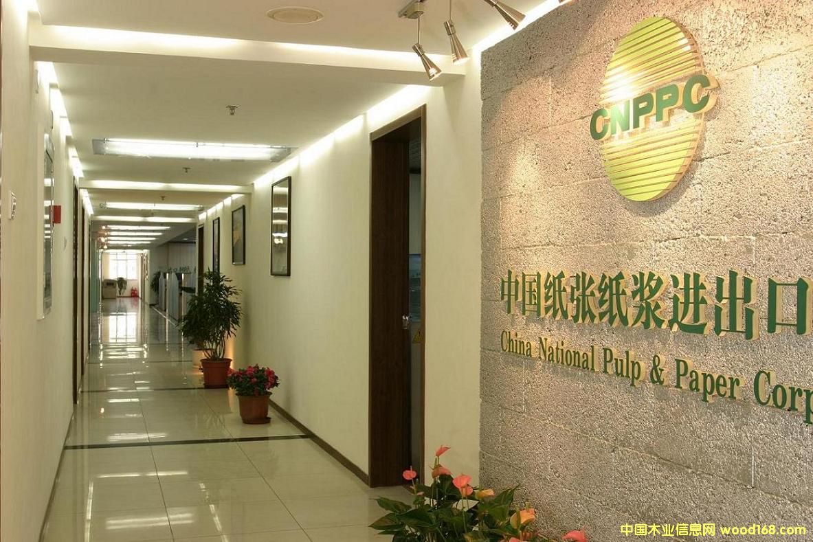 中纸公司1 中纸公司1