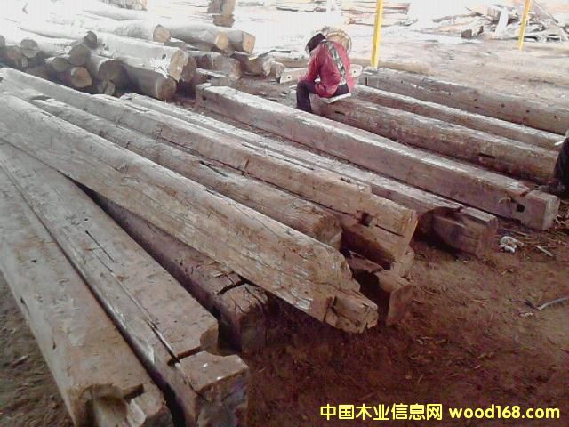 ��������ľ