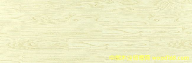 ǿ���ذ�T203�������