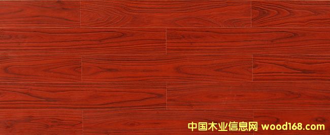 ǿ���ذ�T204��¶����