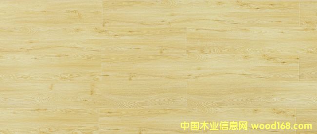 LX203-��ҹ����-ǿ���ذ�