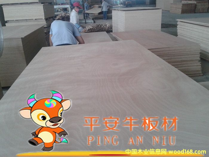 ߵҾ߶塢񽺺ϰ塢ľϸ