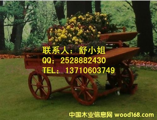 ����ľ��������