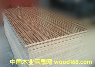 斑马的详细介绍