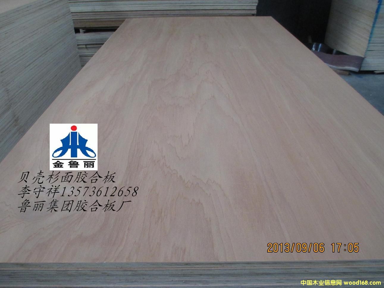 贝壳杉面胶合板的详细介绍