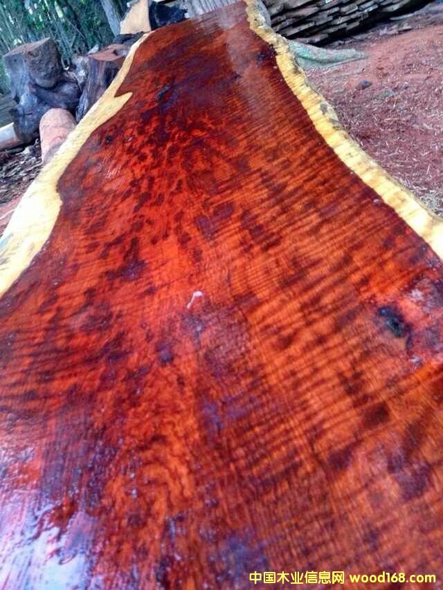 ���λ��������ϸ����