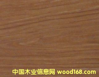 ӣ��-558C����ϸ����