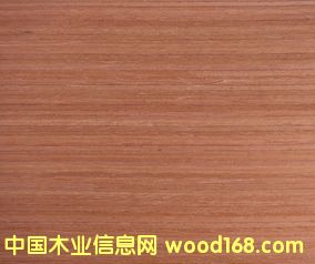 ľƤ����ϸ����