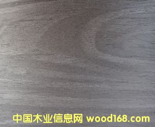 ľƤ����ϸ����