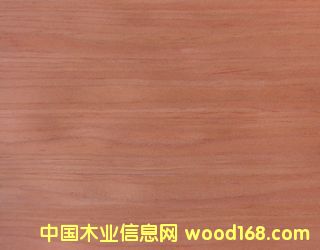 �޷Ĳ��Ƽ�ľƤ����ϸ����