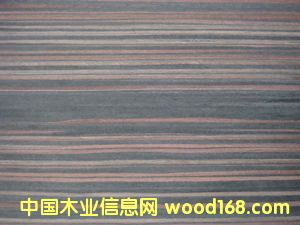 ľƤ����ϸ����