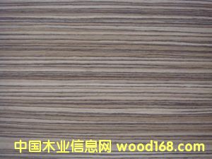 ����ľƤ����ϸ����