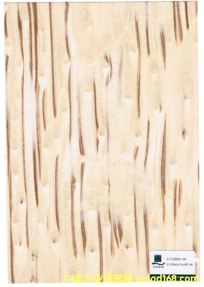 ľƤ����ϸ����