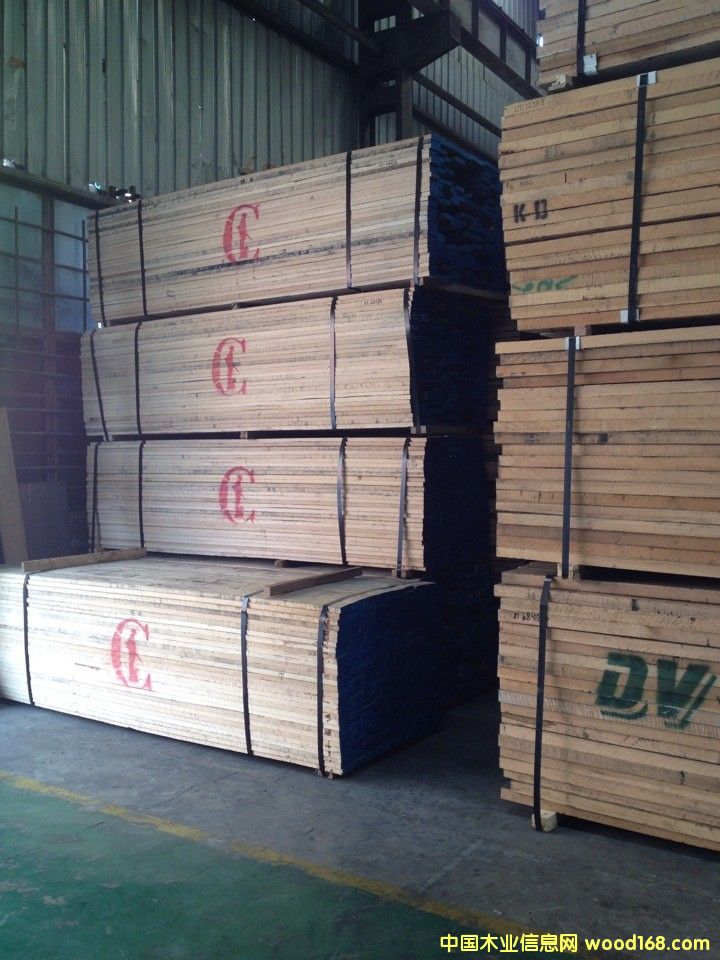 红猎人的详细介绍