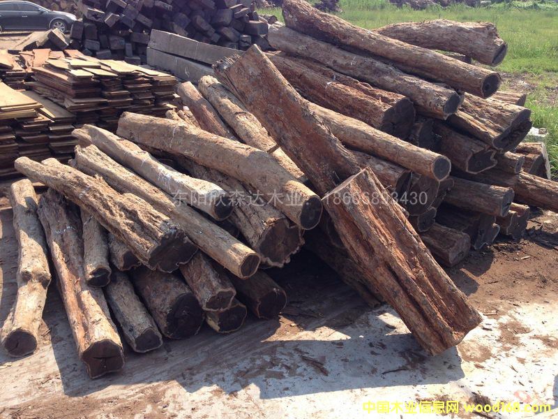 Ϲ̴(Ǻڻ̴)1309-1ϸ