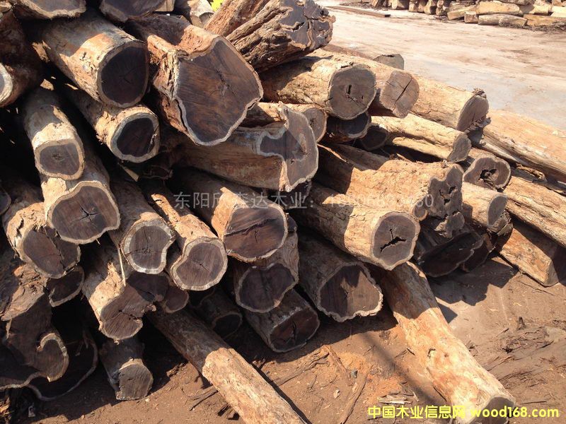 Ϲ̴(Ǻڻ̴)1309-4ϸ