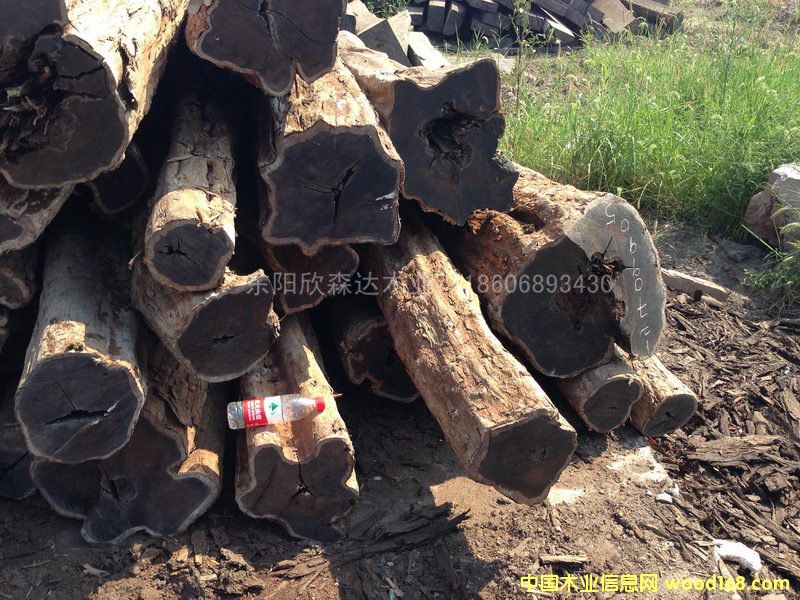 Ϲ̴(Ǻڻ̴)1309-3ϸ