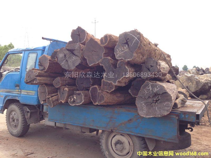 Ϲ̴(Ǻڻ̴)1309-8ϸ