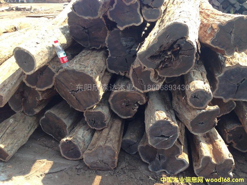 Ϲ̴(Ǻڻ̴)1309-2ϸ