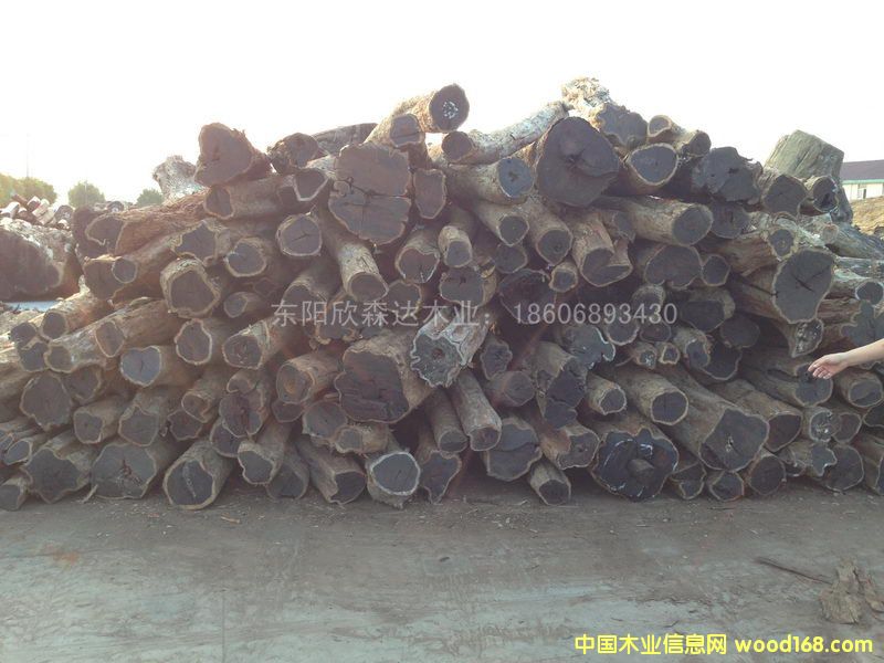 Ϲ̴(Ǻڻ̴)1309-6ϸ