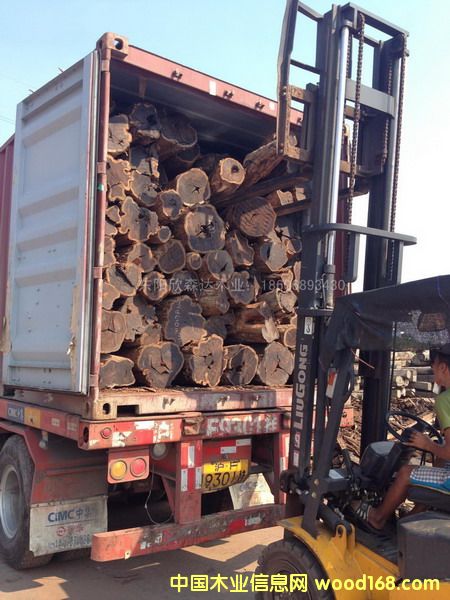 Ϲ̴(Ǻڻ̴)1309-5ϸ