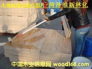 ľ�ذ�Ư��ҩ��