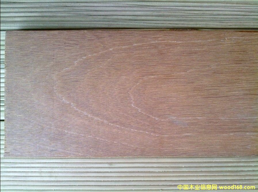 巴劳木的详细介绍