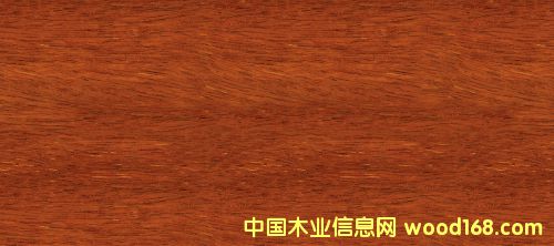 菠萝格的详细介绍