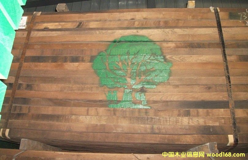 黑胡桃的详细介绍