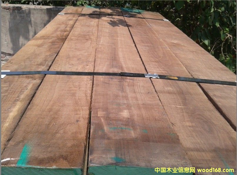 黑胡桃的详细介绍