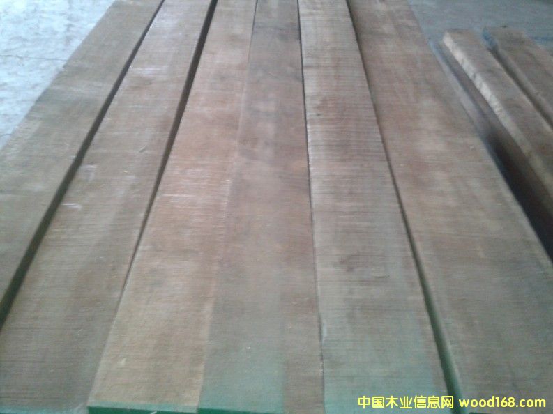 黑胡桃的详细介绍