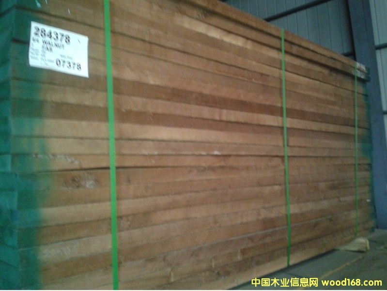 黑胡桃的详细介绍