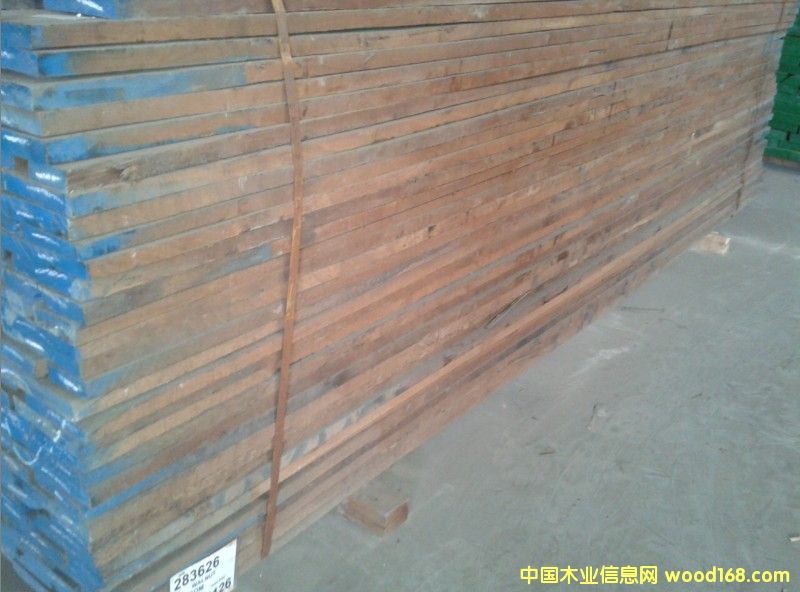 黑胡桃的详细介绍