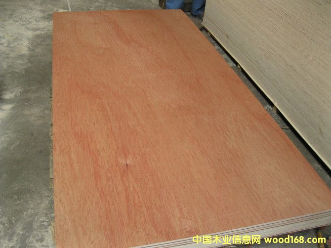 ���ǹ����ϰ����ϸ����