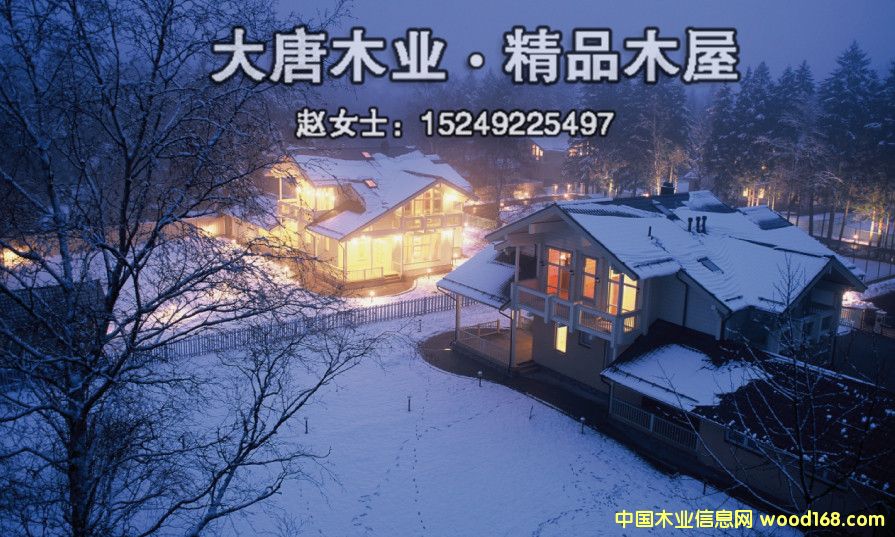 ľ��  ľ����  �½�ľ��