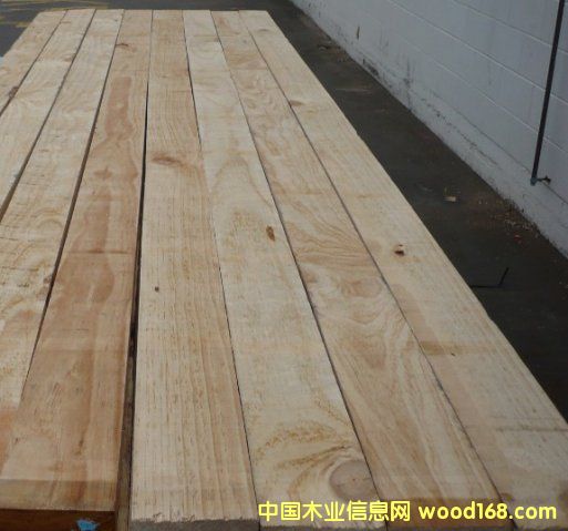 COL GRADE KD RS/S4Sϸ