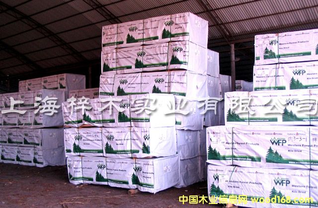 ôɼ޽ɼߵȼɼɣѩɵϸ