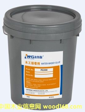 �����Ͱ��齺PG300