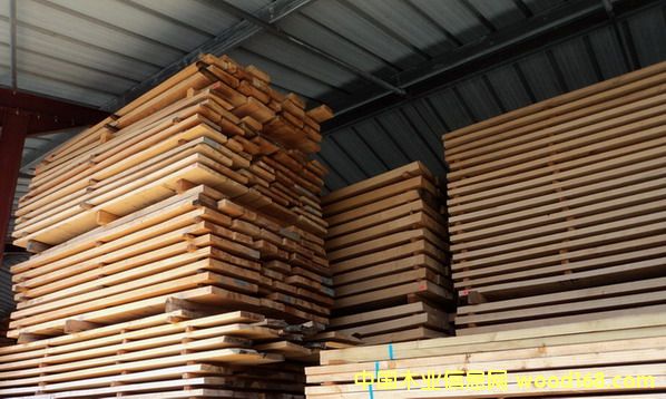 Beech square-edgedϸ