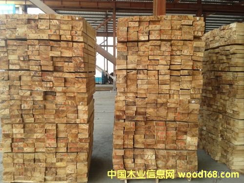 [] ڴľľ ¥ݴС  ż