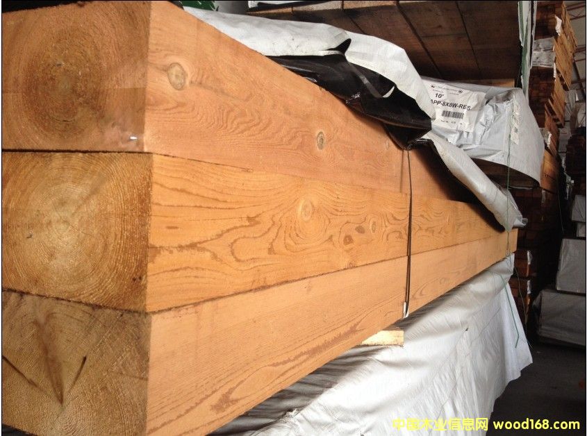 [] ݺѩɣôѩɣѩɶǮһ