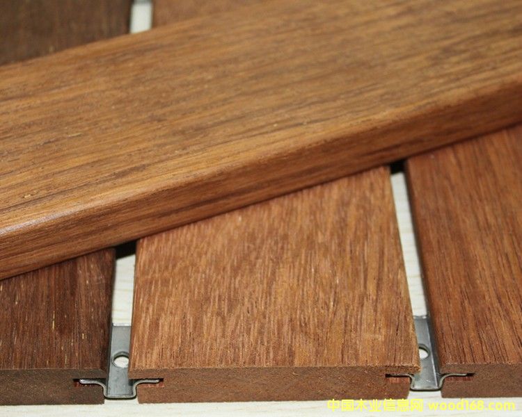 [] ݲܸľ첤ܸ񣬲ܸľǮһ