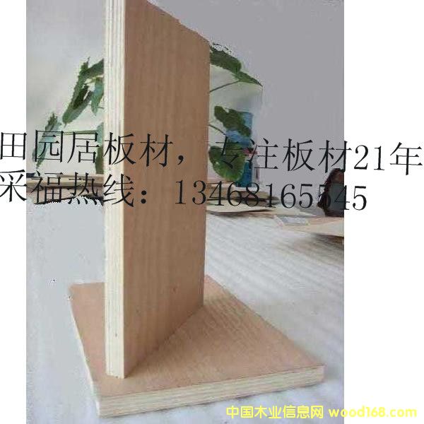 �¹����Ҿ߰� ����ɼ��ԡ��