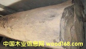 黨ľԭľľԭľھԭľ