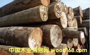 ���� ��ľ