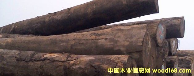 ���� ���� ���޲��ܸ�