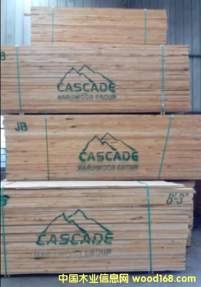 赤杨木的详细介绍